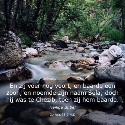 Picture 03 - Genesis 38:5 NLD - En zij voer nog voort, en baarde een zoon, en - Bible Verse Picture