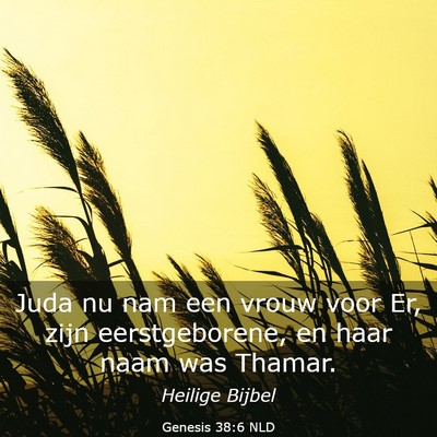 Picture 03 - Genesis 38:6 NLD - Juda nu nam een vrouw voor Er, zijn - Bible Verse Picture