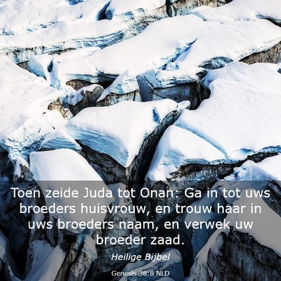 Picture 03 - Genesis 38:8 NLD - Toen zeide Juda tot Onan: Ga in tot uws broeders - Bible Verse Picture