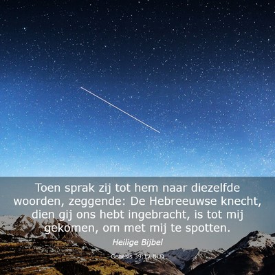 Picture 03 - Genesis 39:17 NLD - Toen sprak zij tot hem naar diezelfde woorden, - Bible Verse Picture