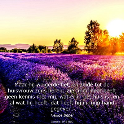 Picture 03 - Genesis 39:8 NLD - Maar hij weigerde het, en zeide tot de huisvrouw - Bible Verse Picture