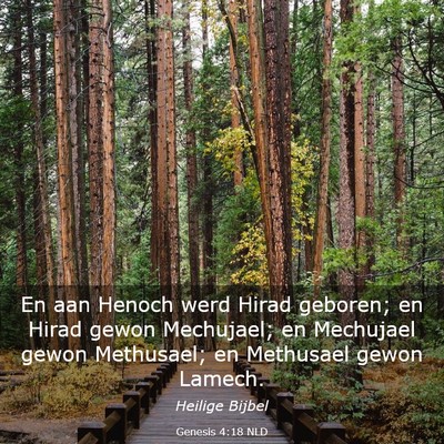 Picture 03 - Genesis 4:18 NLD - En aan Henoch werd Hirad geboren; en Hirad gewon - Bible Verse Picture