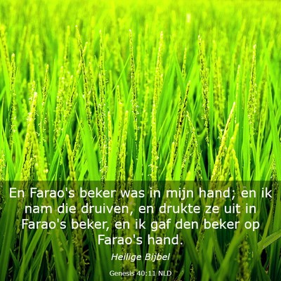 Picture 03 - Genesis 40:11 NLD - En Farao's beker was in mijn hand; en ik nam die - Bible Verse Picture