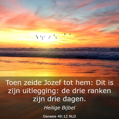 Picture 03 - Genesis 40:12 NLD - Toen zeide Jozef tot hem: Dit is zijn uitlegging: - Bible Verse Picture
