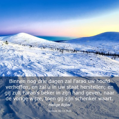 Picture 03 - Genesis 40:13 NLD - Binnen nog drie dagen zal Farao uw hoofd - Bible Verse Picture