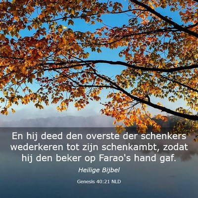 Picture 03 - Genesis 40:21 NLD - En hij deed den overste der schenkers wederkeren - Bible Verse Picture