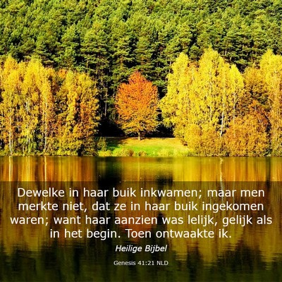 Picture 03 - Genesis 41:21 NLD - Dewelke in haar buik inkwamen; maar men merkte - Bible Verse Picture