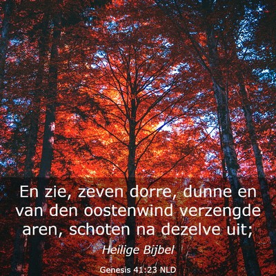 Picture 03 - Genesis 41:23 NLD - En zie, zeven dorre, dunne en van den oostenwind - Bible Verse Picture