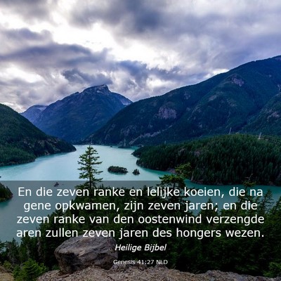 Picture 03 - Genesis 41:27 NLD - En die zeven ranke en lelijke koeien, die na gene - Bible Verse Picture