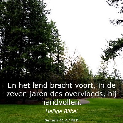 Picture 03 - Genesis 41:47 NLD - En het land bracht voort, in de zeven jaren des - Bible Verse Picture
