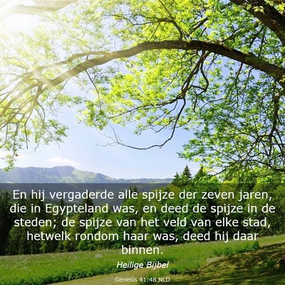 Picture 03 - Genesis 41:48 NLD - En hij vergaderde alle spijze der zeven jaren, - Bible Verse Picture