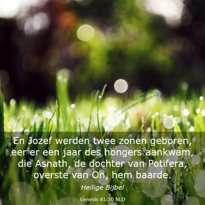 Picture 03 - Genesis 41:50 NLD - En Jozef werden twee zonen geboren, eer er een - Bible Verse Picture