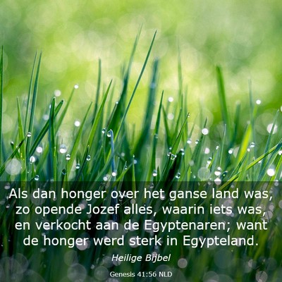 Picture 03 - Genesis 41:56 NLD - Als dan honger over het ganse land was, zo opende - Bible Verse Picture