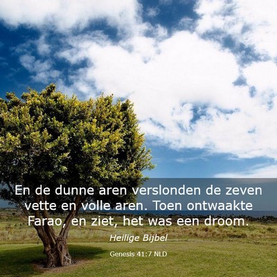 Picture 03 - Genesis 41:7 NLD - En de dunne aren verslonden de zeven vette en - Bible Verse Picture