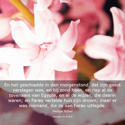 Picture 03 - Genesis 41:8 NLD - En het geschiedde in den morgenstond, dat zijn - Bible Verse Picture