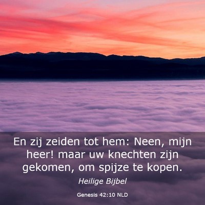 Picture 03 - Genesis 42:10 NLD - En zij zeiden tot hem: Neen, mijn heer! maar uw - Bible Verse Picture