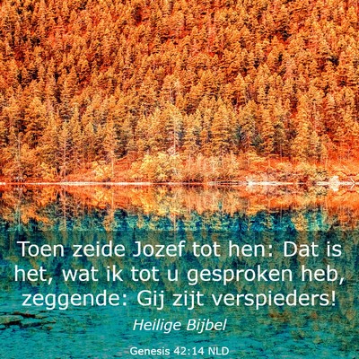 Picture 03 - Genesis 42:14 NLD - Toen zeide Jozef tot hen: Dat is het, wat ik tot - Bible Verse Picture