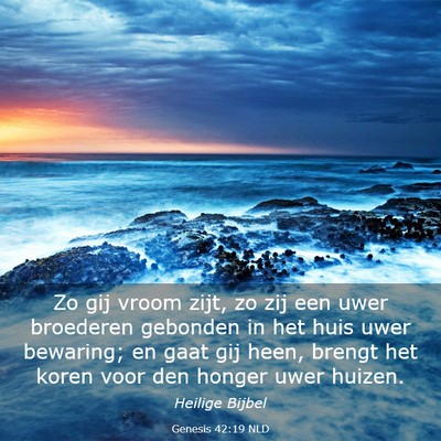 Picture 03 - Genesis 42:19 NLD - Zo gij vroom zijt, zo zij een uwer broederen - Bible Verse Picture