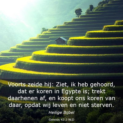 Picture 03 - Genesis 42:2 NLD - Voorts zeide hij: Ziet, ik heb gehoord, dat er - Bible Verse Picture
