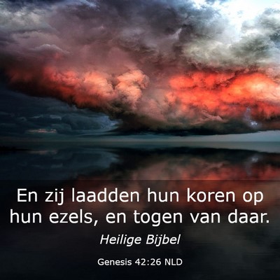 Picture 03 - Genesis 42:26 NLD - En zij laadden hun koren op hun ezels, en togen - Bible Verse Picture