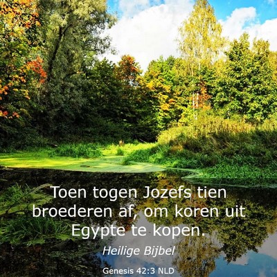 Picture 03 - Genesis 42:3 NLD - Toen togen Jozefs tien broederen af, om koren uit - Bible Verse Picture