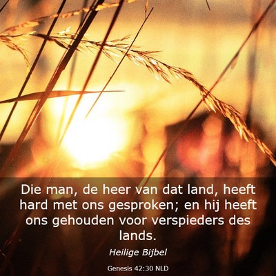 Picture 03 - Genesis 42:30 NLD - Die man, de heer van dat land, heeft hard met ons - Bible Verse Picture