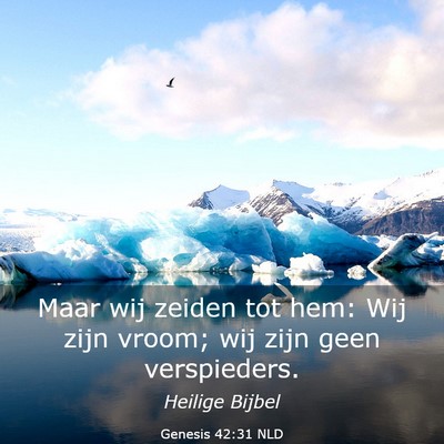 Picture 03 - Genesis 42:31 NLD - Maar wij zeiden tot hem: Wij zijn vroom; wij zijn - Bible Verse Picture