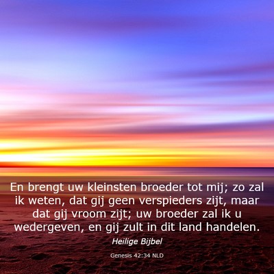 Picture 03 - Genesis 42:34 NLD - En brengt uw kleinsten broeder tot mij; zo zal ik - Bible Verse Picture