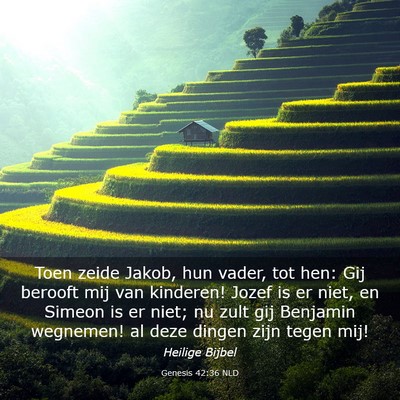 Picture 03 - Genesis 42:36 NLD - Toen zeide Jakob, hun vader, tot hen: Gij berooft - Bible Verse Picture