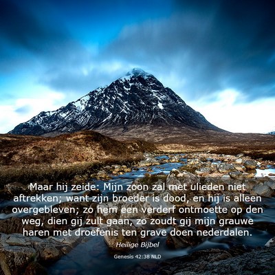 Picture 03 - Genesis 42:38 NLD - Maar hij zeide: Mijn zoon zal met ulieden niet - Bible Verse Picture