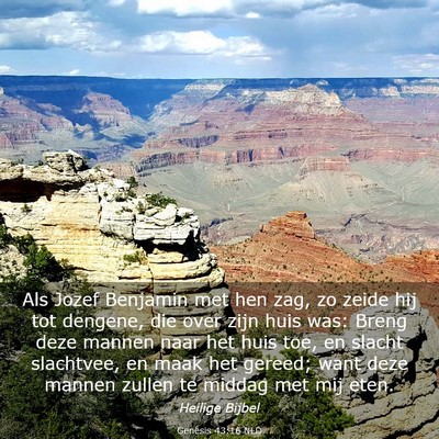Picture 03 - Genesis 43:16 NLD - Als Jozef Benjamin met hen zag, zo zeide hij tot - Bible Verse Picture