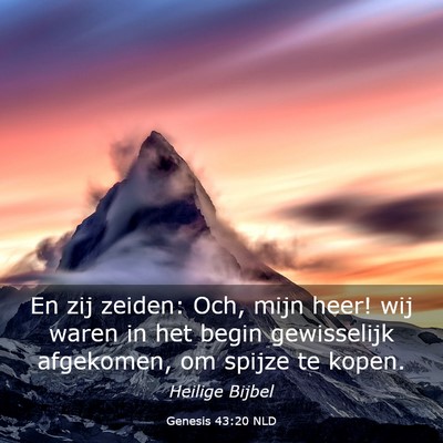 Picture 03 - Genesis 43:20 NLD - En zij zeiden: Och, mijn heer! wij waren in het - Bible Verse Picture