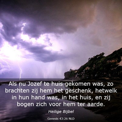 Picture 03 - Genesis 43:26 NLD - Als nu Jozef te huis gekomen was, zo brachten zij - Bible Verse Picture