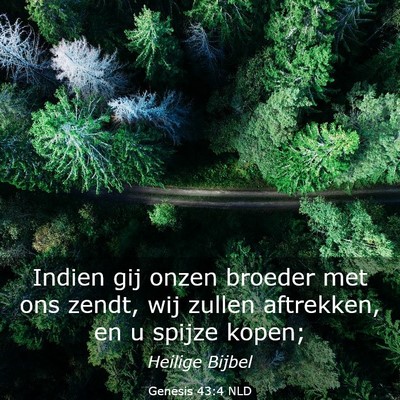 Picture 03 - Genesis 43:4 NLD - Indien gij onzen broeder met ons zendt, wij - Bible Verse Picture