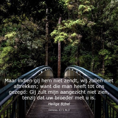 Picture 03 - Genesis 43:5 NLD - Maar indien gij hem niet zendt, wij zullen niet - Bible Verse Picture