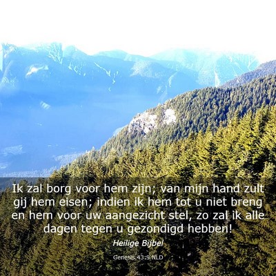 Picture 03 - Genesis 43:9 NLD - Ik zal borg voor hem zijn; van mijn hand zult gij - Bible Verse Picture