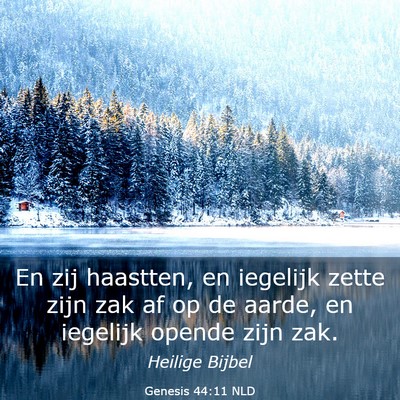Picture 03 - Genesis 44:11 NLD - En zij haastten, en iegelijk zette zijn zak af op - Bible Verse Picture