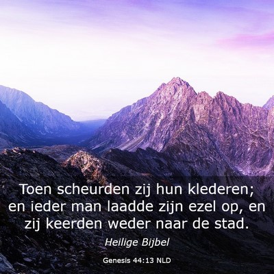Picture 03 - Genesis 44:13 NLD - Toen scheurden zij hun klederen; en ieder man - Bible Verse Picture