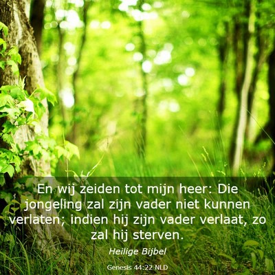 Picture 03 - Genesis 44:22 NLD - En wij zeiden tot mijn heer: Die jongeling zal - Bible Verse Picture