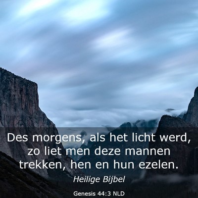 Picture 03 - Genesis 44:3 NLD - Des morgens, als het licht werd, zo liet men deze - Bible Verse Picture
