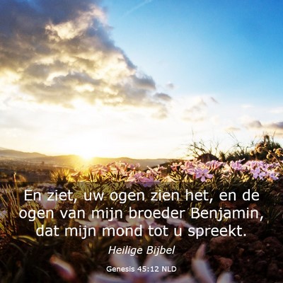 Picture 03 - Genesis 45:12 NLD - En ziet, uw ogen zien het, en de ogen van mijn - Bible Verse Picture