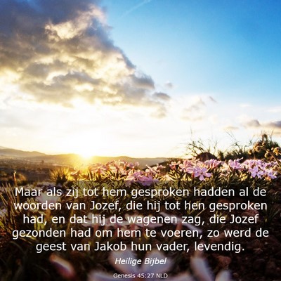 Picture 03 - Genesis 45:27 NLD - Maar als zij tot hem gesproken hadden al de - Bible Verse Picture