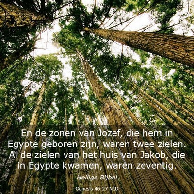Picture 03 - Genesis 46:27 NLD - En de zonen van Jozef, die hem in Egypte geboren - Bible Verse Picture