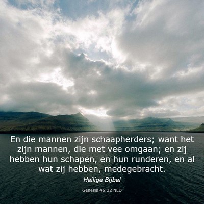 Picture 03 - Genesis 46:32 NLD - En die mannen zijn schaapherders; want het zijn - Bible Verse Picture