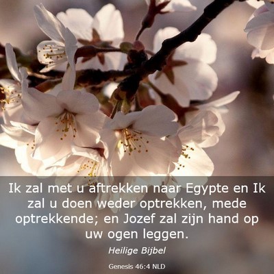 Picture 03 - Genesis 46:4 NLD - Ik zal met u aftrekken naar Egypte en Ik zal u - Bible Verse Picture