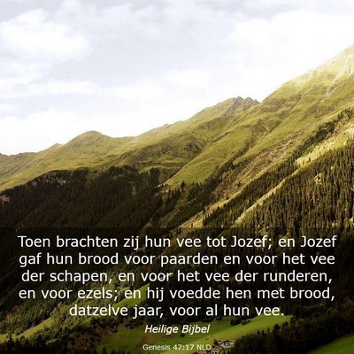 Picture 03 - Genesis 47:17 NLD - Toen brachten zij hun vee tot Jozef; en Jozef gaf - Bible Verse Picture
