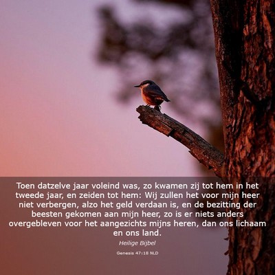 Picture 03 - Genesis 47:18 NLD - Toen datzelve jaar voleind was, zo kwamen zij tot - Bible Verse Picture