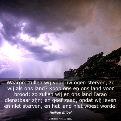 Picture 03 - Genesis 47:19 NLD - Waarom zullen wij voor uw ogen sterven, zo wij - Bible Verse Picture