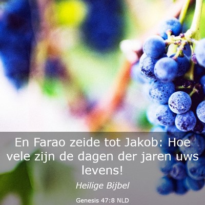 Picture 03 - Genesis 47:8 NLD - En Farao zeide tot Jakob: Hoe vele zijn de dagen - Bible Verse Picture