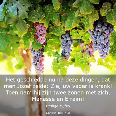 Picture 03 - Genesis 48:1 NLD - Het geschiedde nu na deze dingen, dat men Jozef - Bible Verse Picture